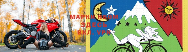 стаф Волоколамск
