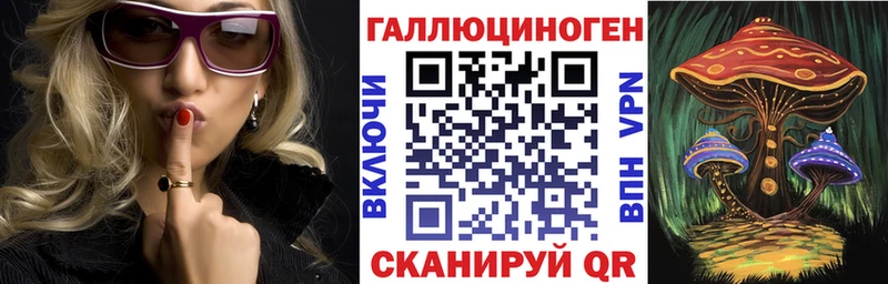 где можно купить   Ачинск  Галлюциногенные грибы MAGIC MUSHROOMS 